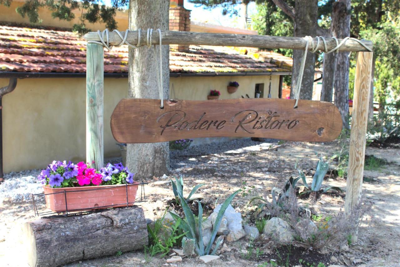 Апартаменты Casa Vacanza Podere Ristoro Сан-Джованни-д'Ассо Экстерьер фото