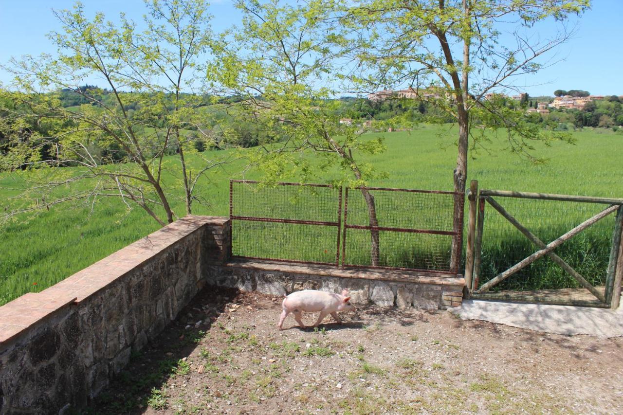 Апартаменты Casa Vacanza Podere Ristoro Сан-Джованни-д'Ассо Экстерьер фото